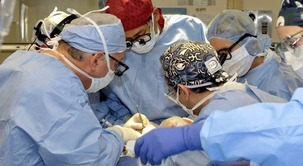Asportano il rene sbagliato e il paziente muore dopo 6 mesi: medici assolti a Firenze