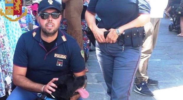 Crack e cocaina scoperti da Nora, il cane antidroga: un arresto a Sorrento