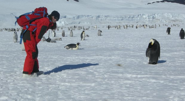 «Antartide, vi racconto la vita al Polo Sud», faccia a faccia con la prof Laura Zucconi