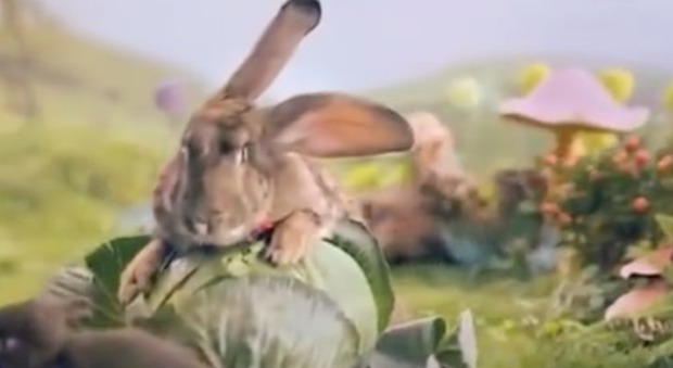 "Fate figli come conigli": è polemica sulla campagna del governo Guarda