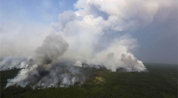 Siberia in fiamme, è un disastro: bruciati 4,3 milioni di ettari di foreste