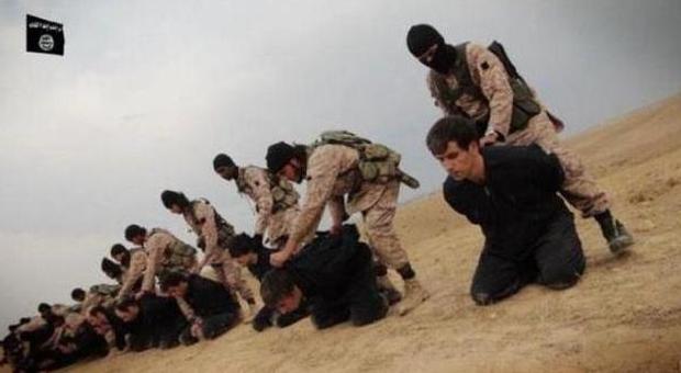 Isis, decapitati 25 membri di una tribù a Ramadi: "Non volevano unirsi agli jihadisti"