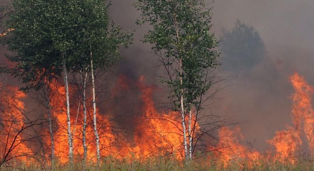 L'Aquila, bosco in fiamme: Canadair in azione a Capitignano