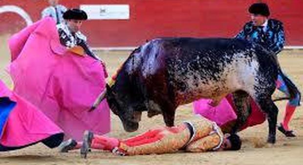 Pamplona, torero incornato durante la Festa di San Firmino