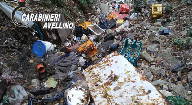 Carcasse di animali e pezzi di veicoli scoperti in una discarica abusiva in montagna