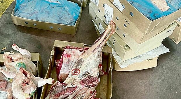 In auto 110 chili di carne senza tracciabilità: grosso sequestro