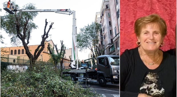 Teresa Veglianti morta colpita da un albero a Roma, il giorno dopo il Comune inizia le potature. Ma i residenti: «Intervento chiesto da mesi»