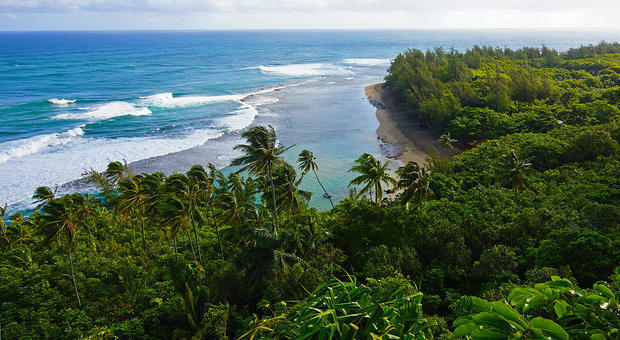 Coronavirus, le Hawaii pagano i turisti per andarsene: 25mila dollari per rimandare a casa i visitatori