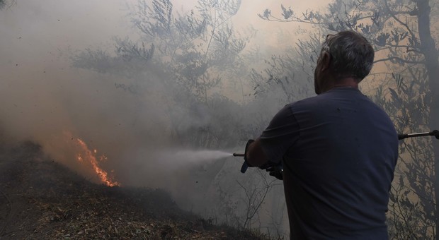 Sul Vesuvio metà dei boschi distrutti dagli incendi