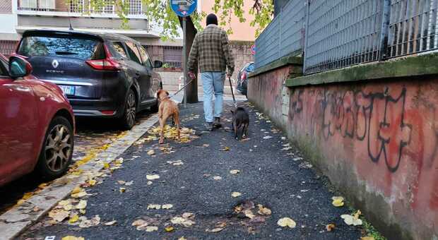 Fleming, marciapiedi impraticabili per le feci dei cani: ecco la mappa delle strade più sporche, il piano del Municipio
