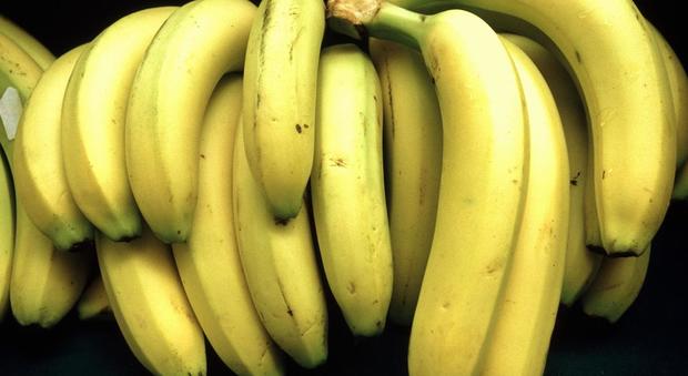 Dalle banane ai pomodori: ecco i cibi che non vanno in frigo
