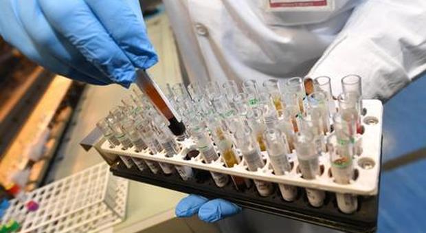 Coronavirus, buone notizie dalla Basilicata: zero contagi per la prima volta dall'inizio della pandemia