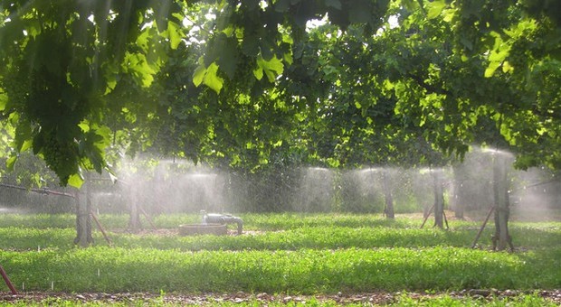 Ok Consiglio Ue a regole per riuso acque in agricoltura