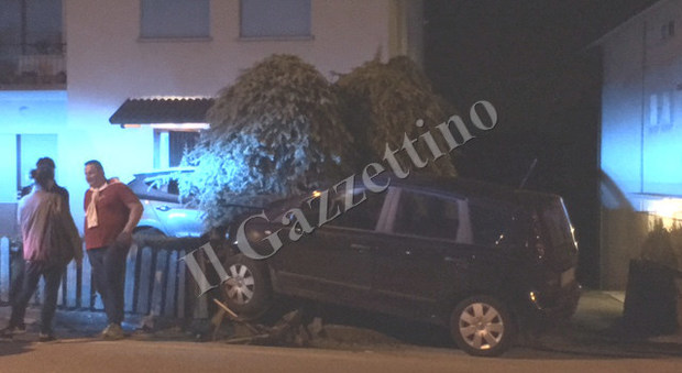 L'incidente di martedì sera in via Agordo a Belluno. Per evitare un cervo l'auto è finita contro la recinzione di una casa