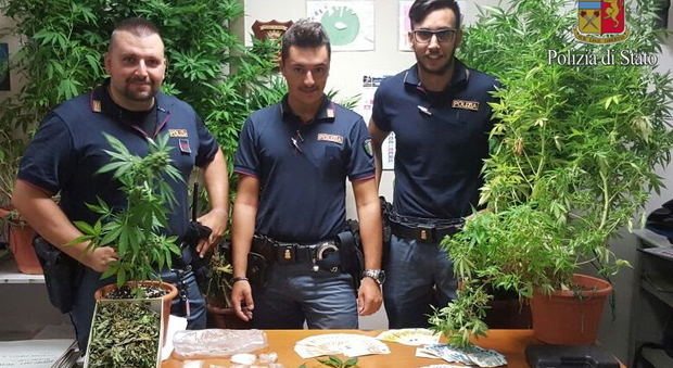 Roma, polizia interviene per una lite dei vicini e scopre coltivazione di marijuana