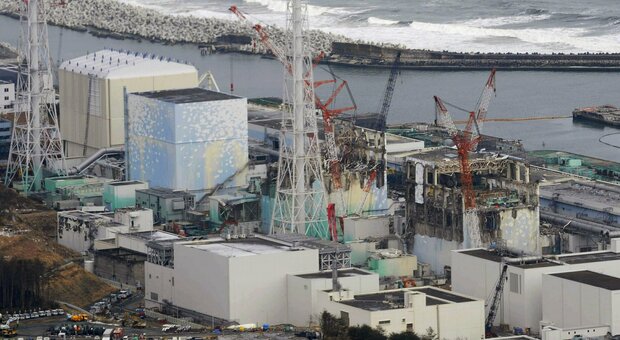 Fukushima, la Cina contro lo sversamento delle acque: «Se non fa male bevetela voi»