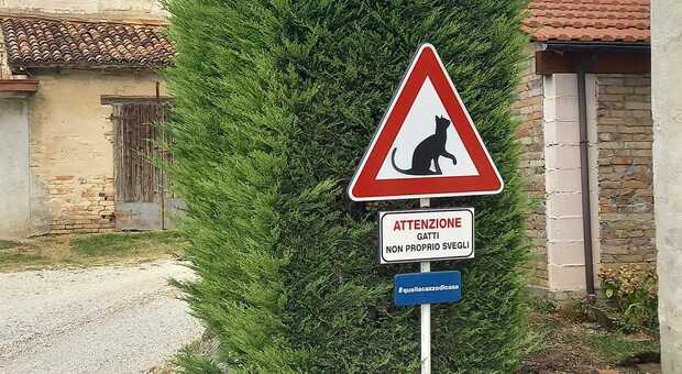 Cartello stradale strano a Collalbrigo: «Automobilisti, attenti ai gatti (non proprio svegli)»
