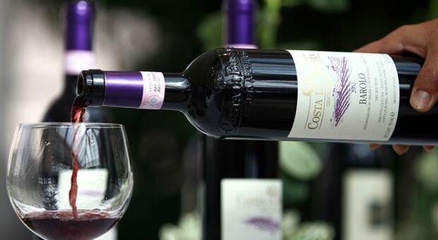 Coldiretti, in calo vendite vino italiano nel mondo (-4%)