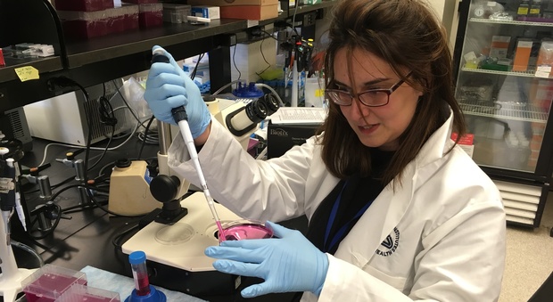 Alessandra, ricercatrice da lode: «Io, cervello prestata alla scienza Usa»