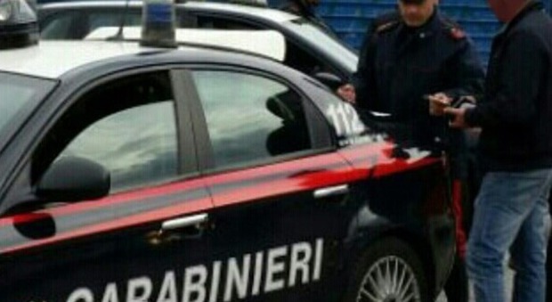 Siena, migrante accoltella autista bus: è in fin di vita. Carabinieri sparano