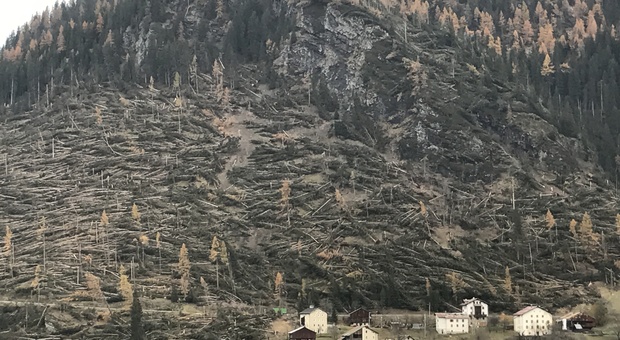 Livinallongo del Col di Lana: la frazione di Collaz devastata dall'uragano di ottobre