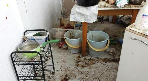 Rossellina, segregata in casa per nove anni: la scoperta choc con lo sfratto|Foto