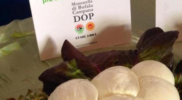 Mozzarella Dop, sì a norme speciali contro le frodi