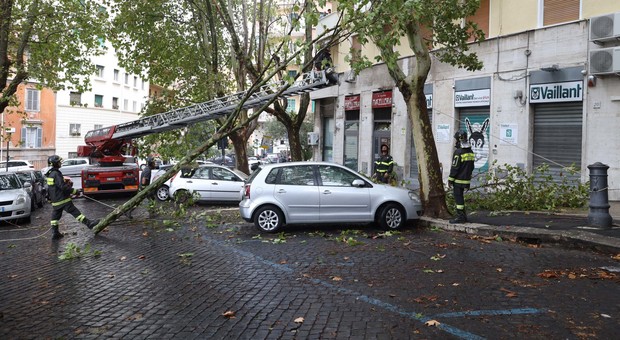 Maltempo, a Roma pioggia e vento in mattinata: danni e alberi caduti