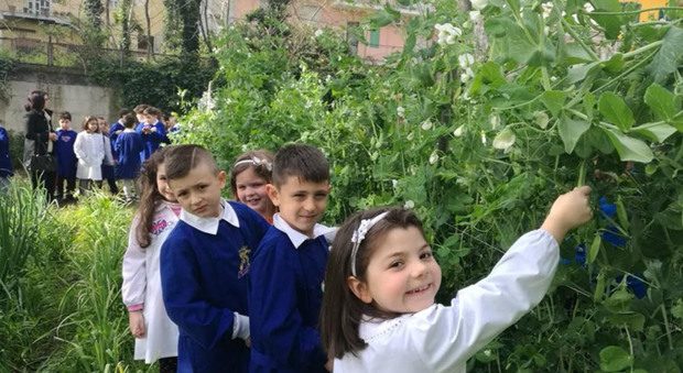 All'elementare Settembrini di Marigliano un orto per imparare a mangiar sano