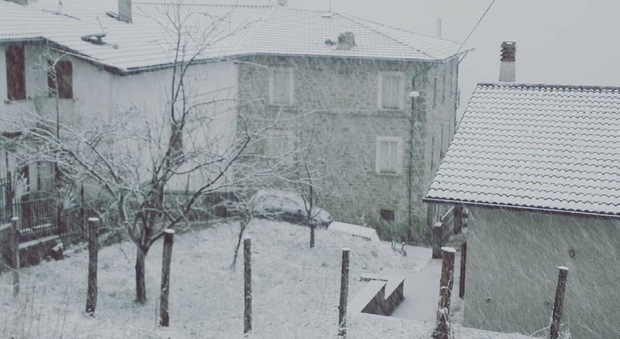 Ascoli, nevica nelle zone terremotate e a monte Piselli. Danni all'agricoltura