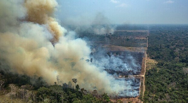 Amazzonia, gli incendi calano del 26% a luglio: ma il governo ammette che la deforestazione sarà ridotta solo del 5%