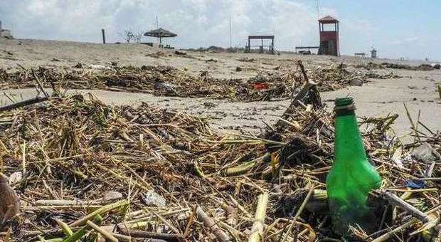 Castelporziano, niente servizi e bagnini: la spiaggia sommersa dai rifiuti