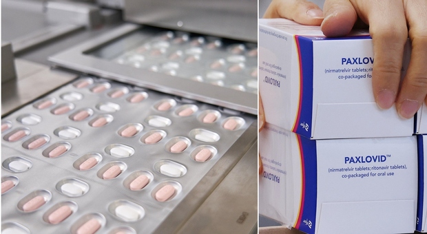 Antivirale Paxlovid Pfizer, domani le prime distribuzioni di oltre 11.000 trattamenti completi