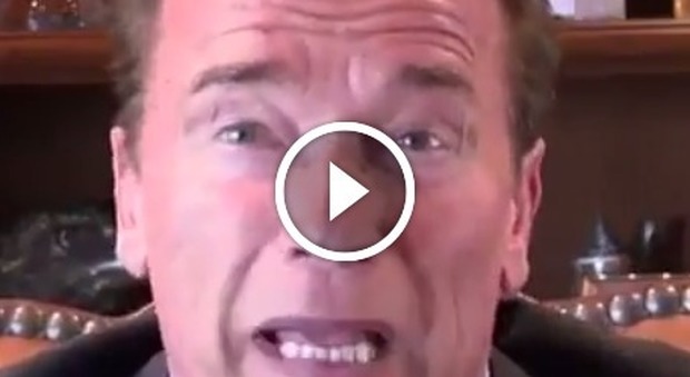 Schwarzenegger contro Trump: "Un uomo solo non può distruggere il futuro"