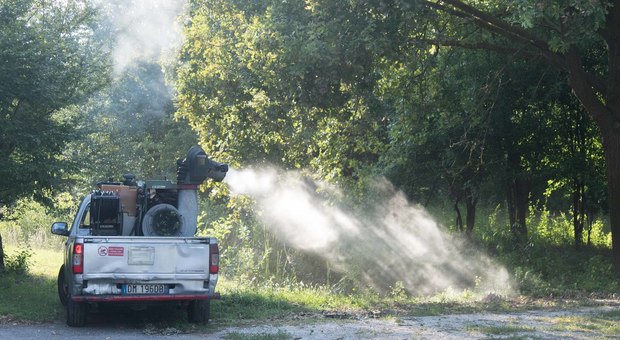 Zanzare e malattie tropicali: i Comuni devono disinfestare ma non hanno soldi