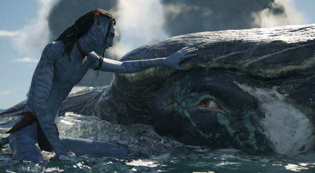 Un'immagine del film Avatar: La via dell'acqua