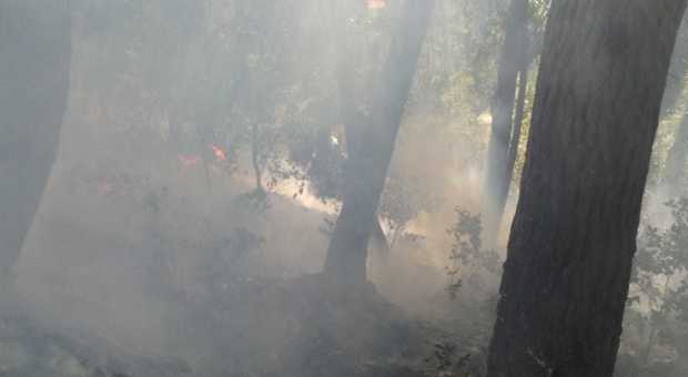 Autunno caldo, ancora boschi in fiamme in Irpinia