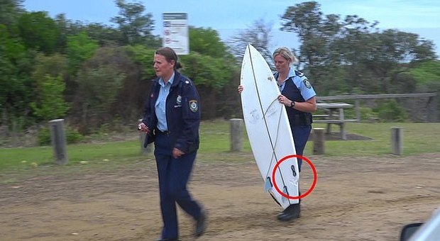 Squalo attacca surfista di 17 anni: il ragazzo morto per le gravi lesioni alle gambe