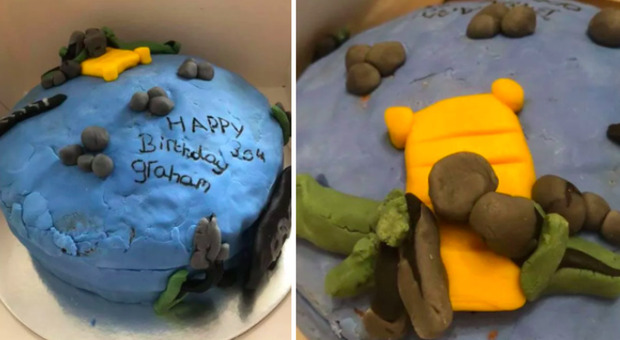 «Mio figlio voleva fare una sorpresa a suo fratello per il suo compleanno ma la torta aveva dei peli di cane sopra. Disgustoso»