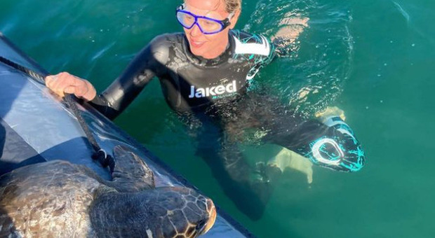 Federica Pellegrini adotta una tartaruga e la "Libera" in mare: ecco l'incontro