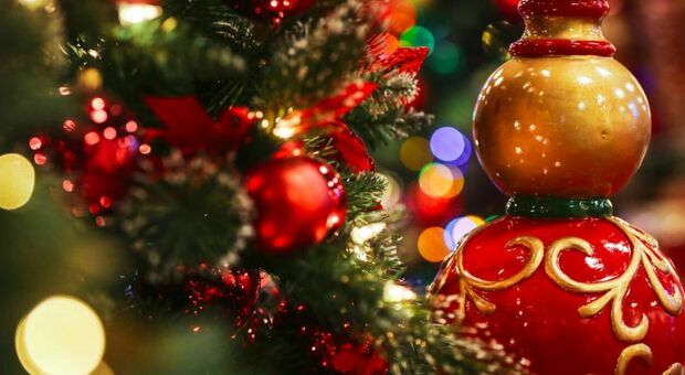 Natale 2023, colori, addobbi e albero: ecco tutte le tendenze