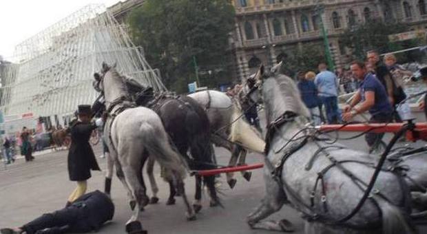 Milano, carrozza con cavalli travolge due pedoni centro: grave un 58enne - Guarda