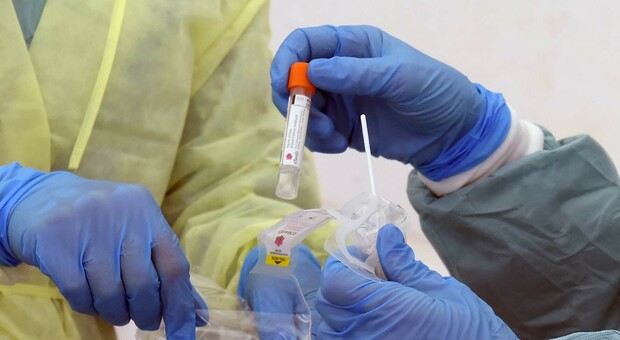 Coronavirus, altri 688 casi positivi nelle Marche