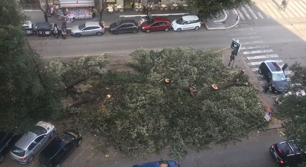 Dopo l'emergenza vento a Prati si potano gli alberi: ma i rami restano a bloccare le strade