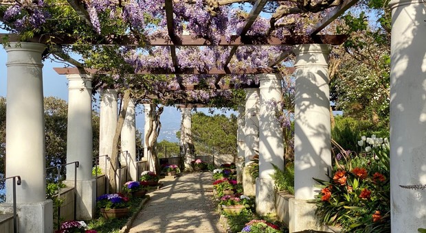 Capri, dal prossimo weekend riapre Villa San Michele ad Anacapri