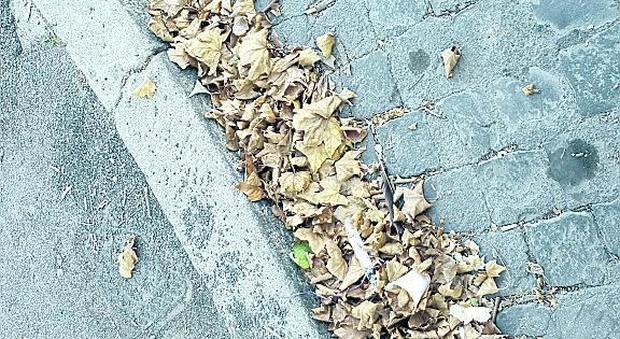 Roma, tombini e caditoie ostruiti da foglie secche e rifiuti: la città a rischio allagamento