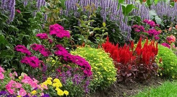 #ioresto a casa: in terrazza o in giardino, oggi pensate alle piante