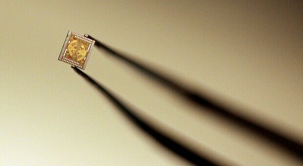 Microchip scomparsi, così l'hi-tech va in crisi
