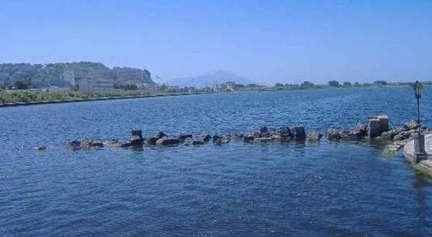 campo mitili nel lago