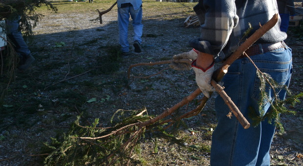 L'impalcatura cede, precipita da tre metri mentre sta tagliando l'albero